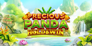 Precious Panda Hold & Win Slots