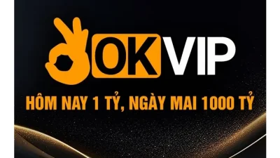 Decoding the OKVIP Alliance Copyright Statement